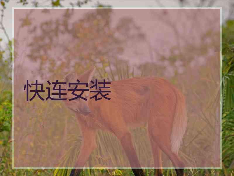 快连安装