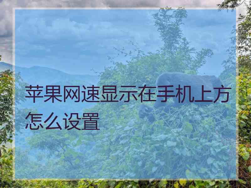 苹果网速显示在手机上方怎么设置