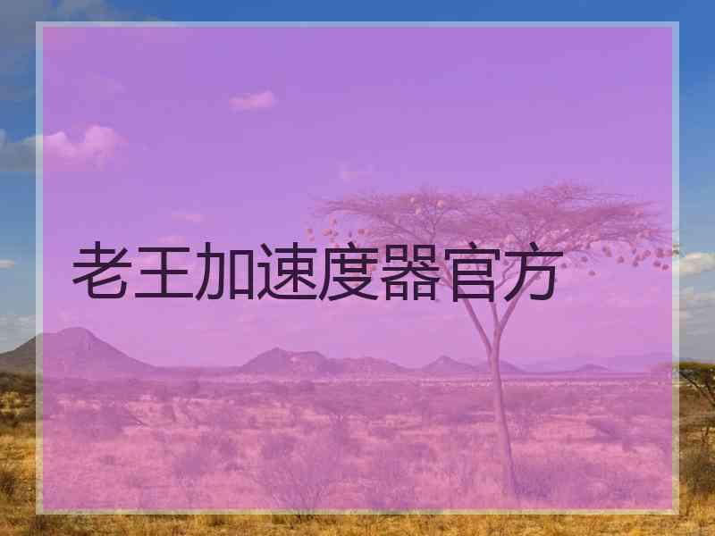 老王加速度器官方