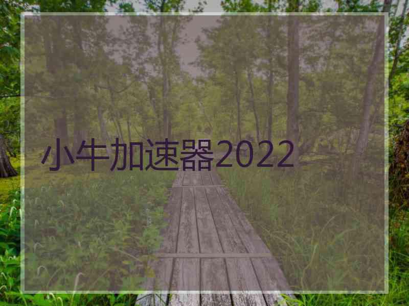 小牛加速器2022