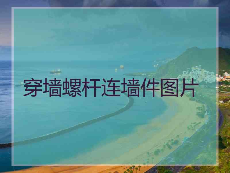 穿墙螺杆连墙件图片