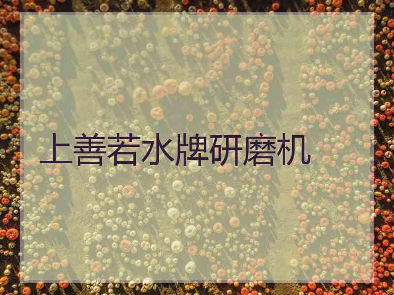 上善若水牌研磨机