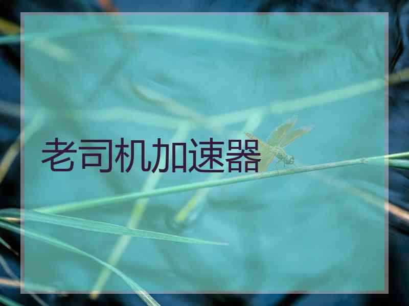 老司机加速器