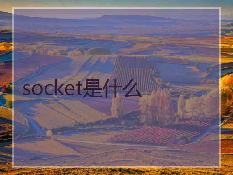 socket是什么