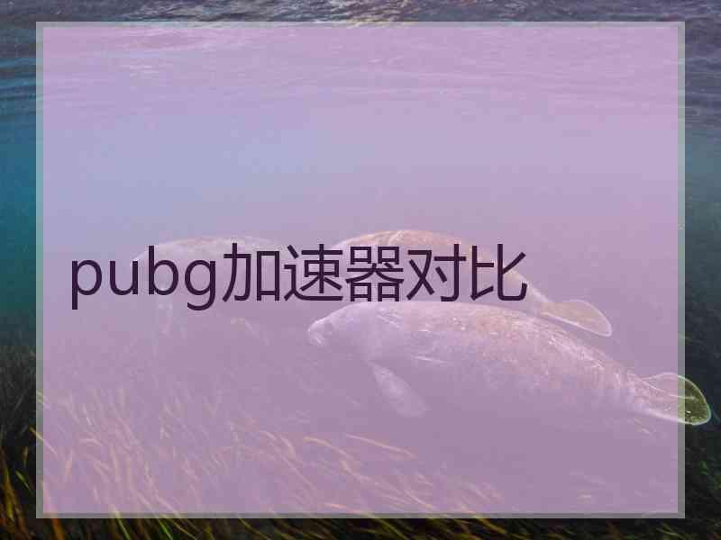 pubg加速器对比