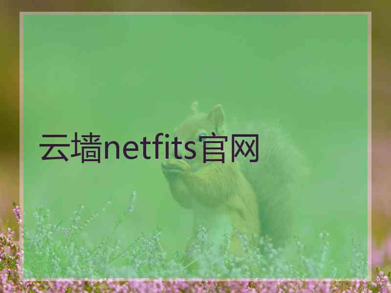 云墙netfits官网