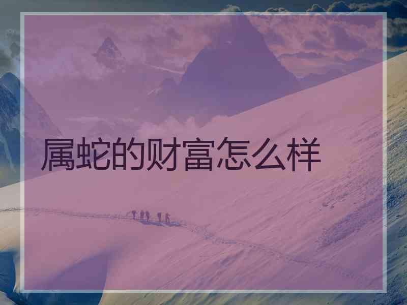 属蛇的财富怎么样