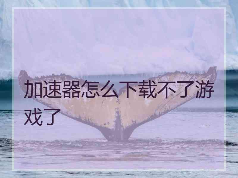 加速器怎么下载不了游戏了