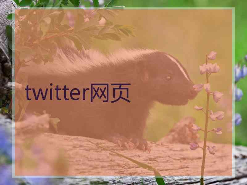 twitter网页