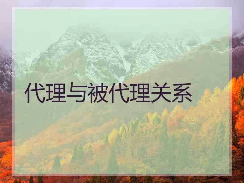 代理与被代理关系