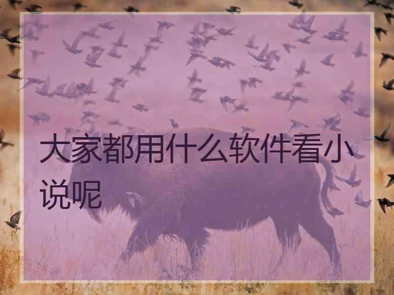 大家都用什么软件看小说呢
