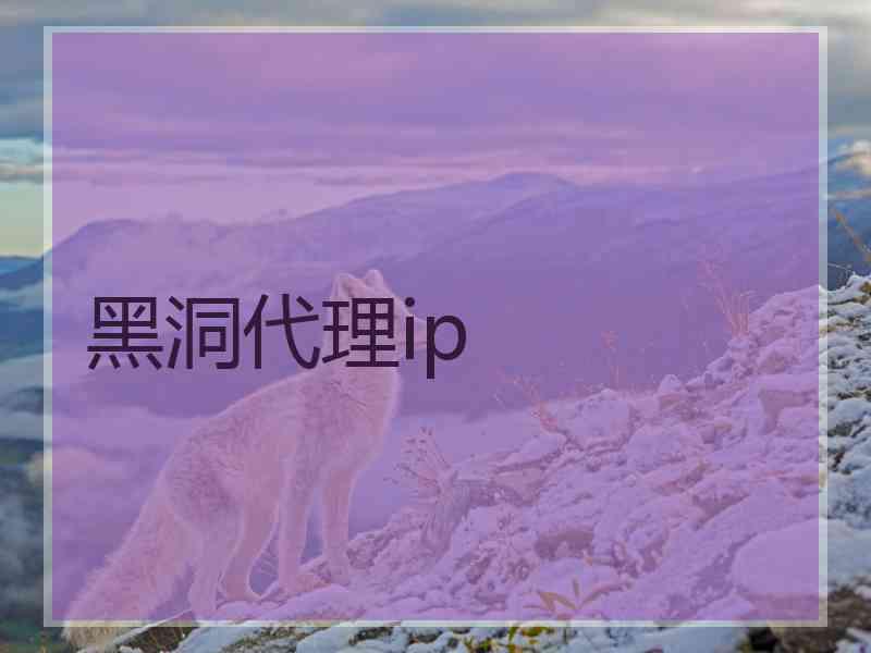 黑洞代理ip