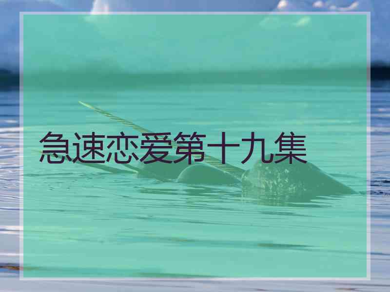 急速恋爱第十九集