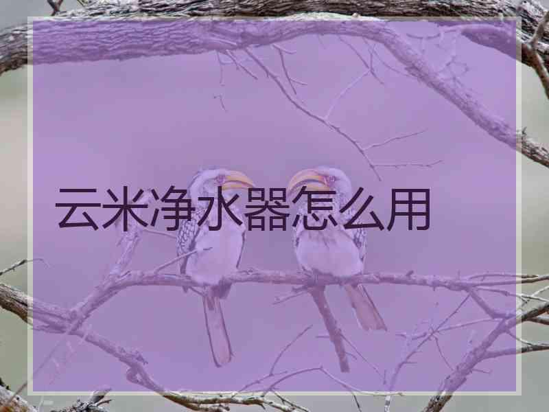 云米净水器怎么用