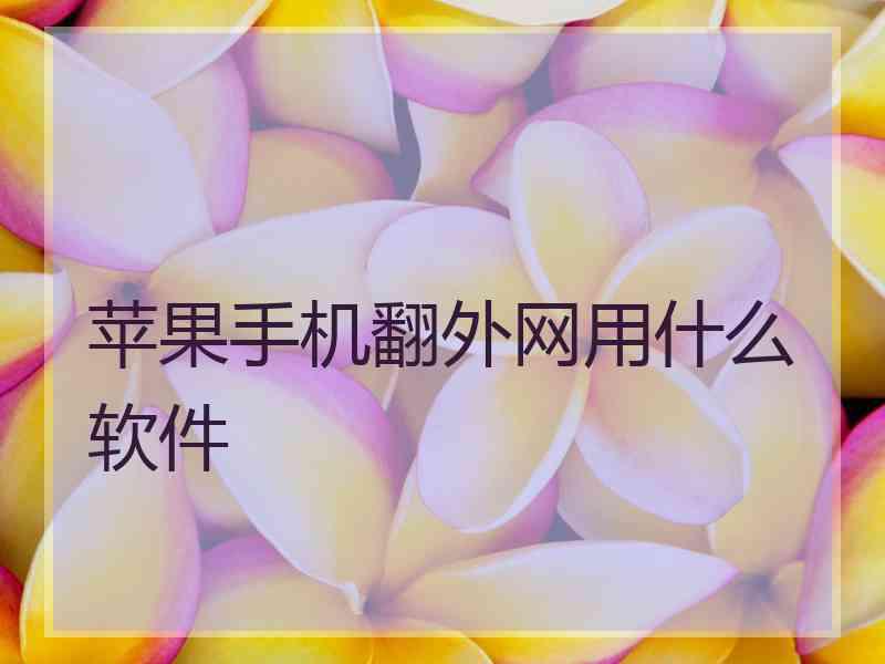 苹果手机翻外网用什么软件