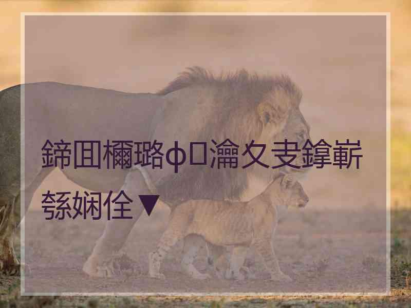 鍗囬檷璐ф瀹夊叏鎿嶄綔娴佺▼