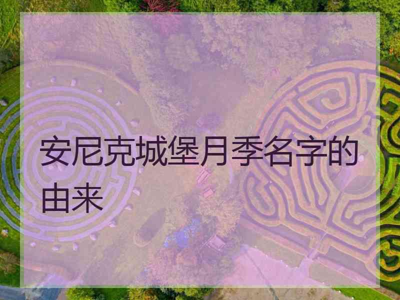 安尼克城堡月季名字的由来