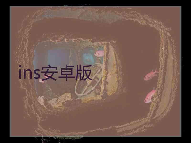 ins安卓版