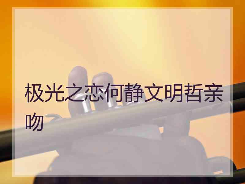 极光之恋何静文明哲亲吻