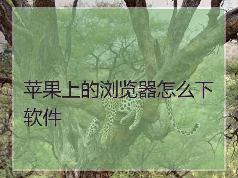 苹果上的浏览器怎么下软件
