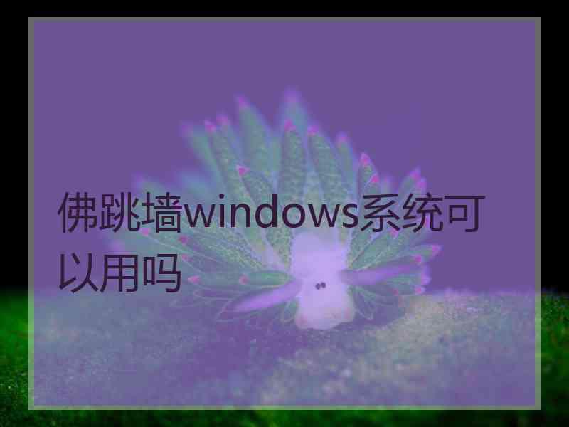佛跳墙windows系统可以用吗
