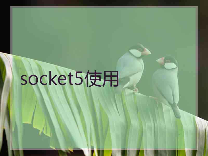 socket5使用