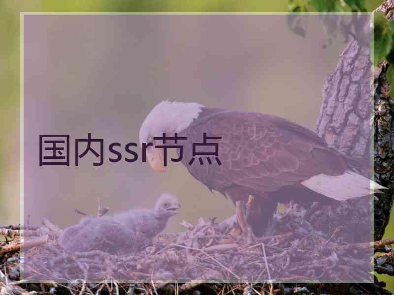 国内ssr节点