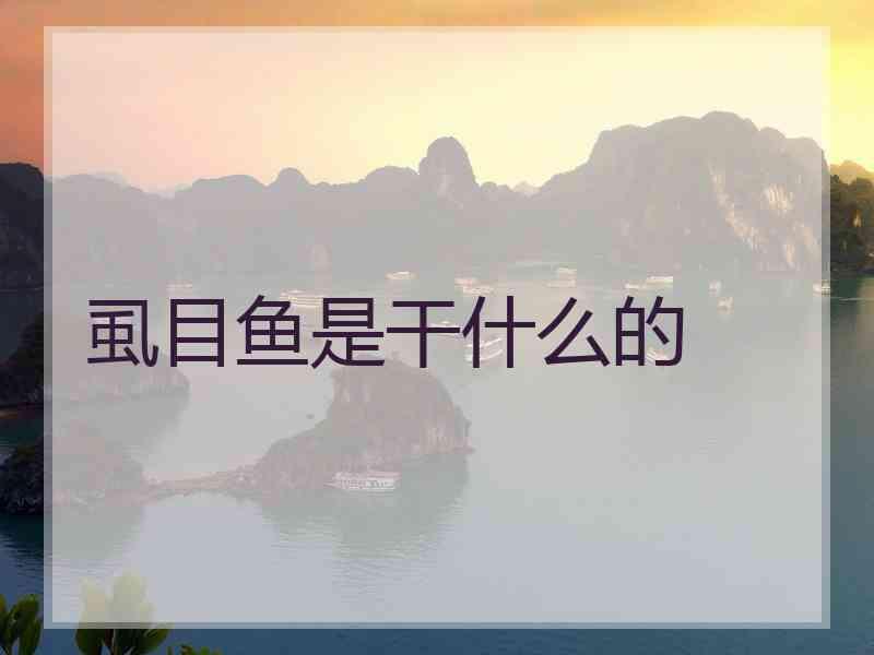 虱目鱼是干什么的