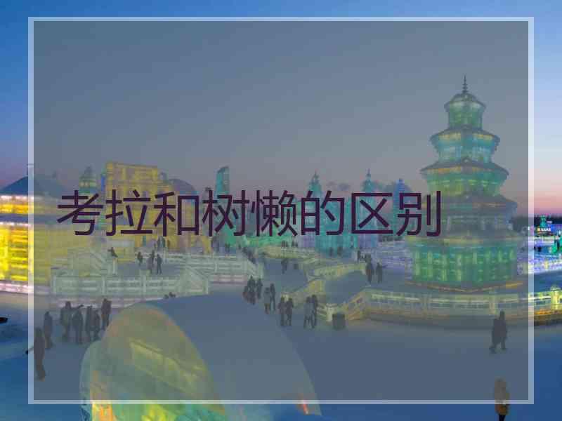 考拉和树懒的区别