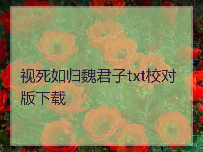 视死如归魏君子txt校对版下载