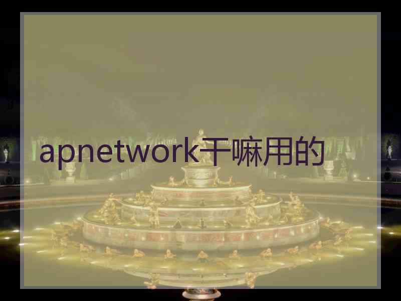 apnetwork干嘛用的
