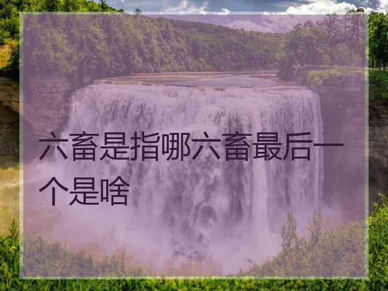 六畜是指哪六畜最后一个是啥