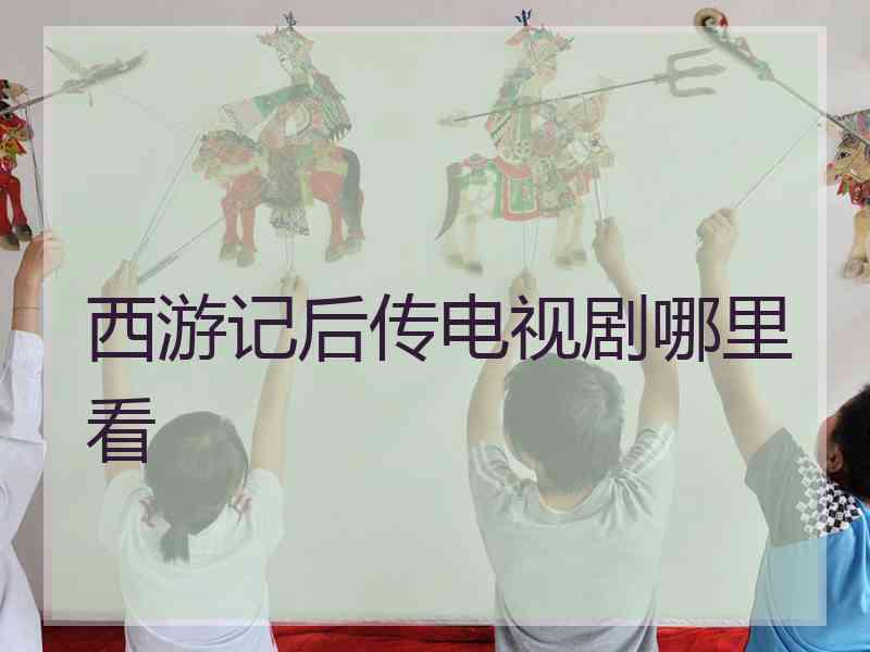 西游记后传电视剧哪里看