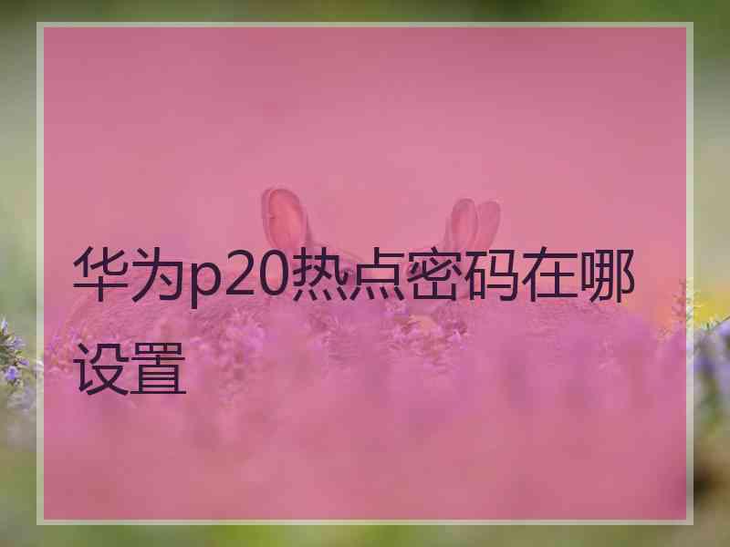 华为p20热点密码在哪设置