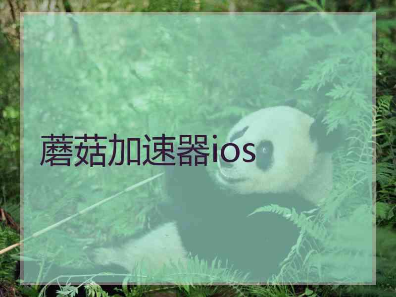 蘑菇加速器ios