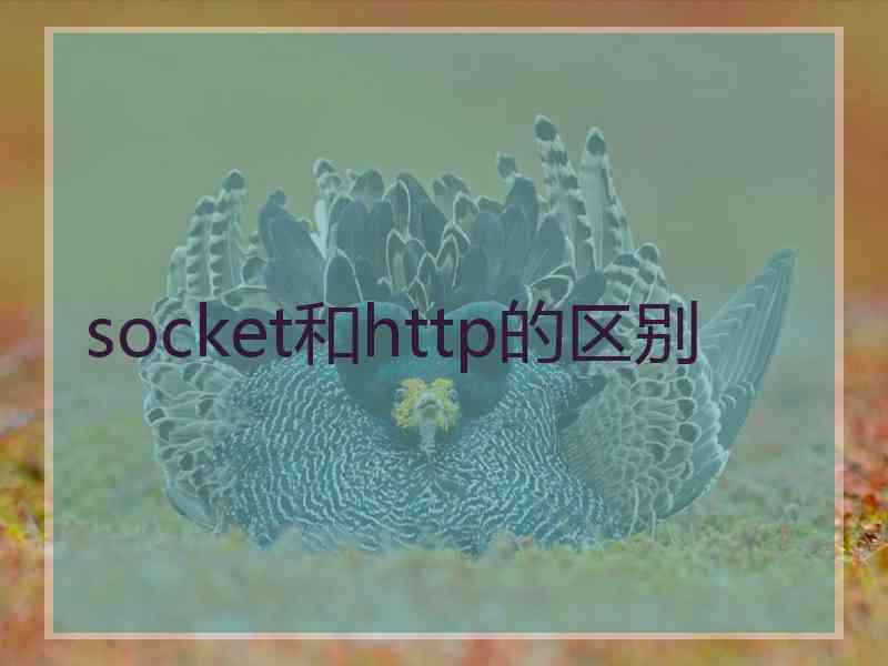 socket和http的区别
