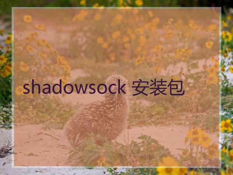 shadowsock 安装包