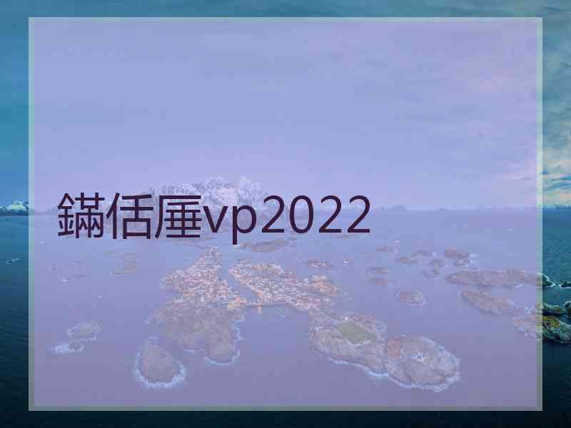 鏋佸厜vp2022