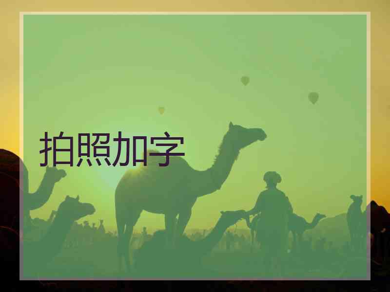 拍照加字