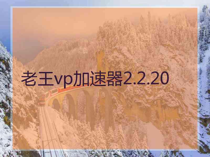 老王vp加速器2.2.20