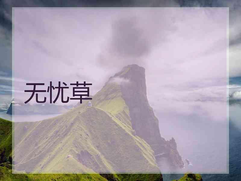 无忧草