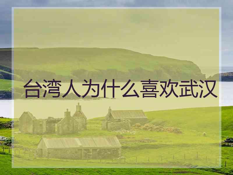 台湾人为什么喜欢武汉
