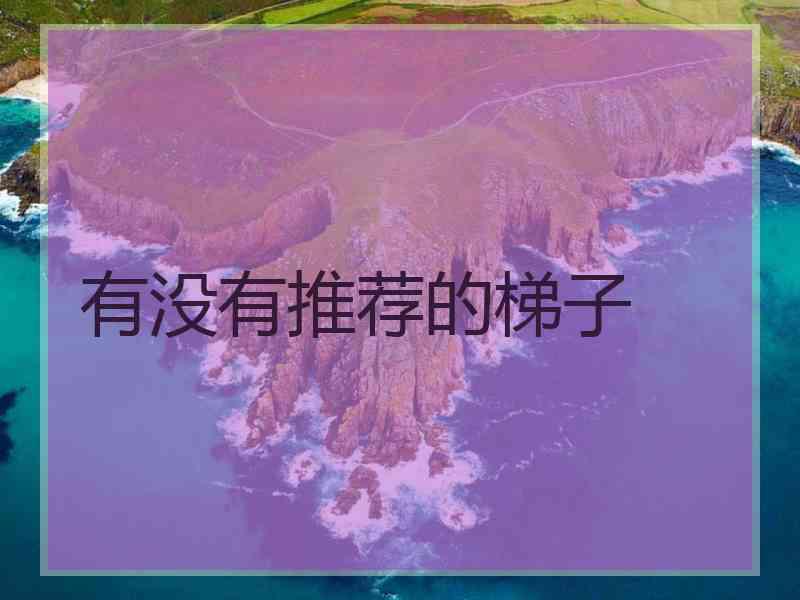 有没有推荐的梯子