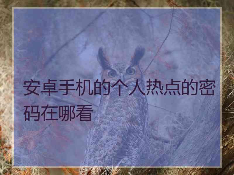 安卓手机的个人热点的密码在哪看