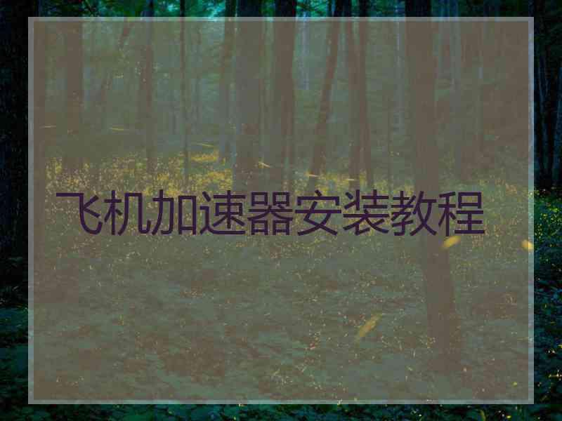 飞机加速器安装教程