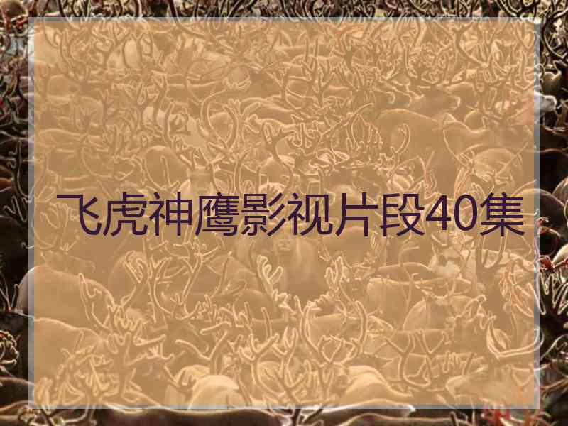 飞虎神鹰影视片段40集