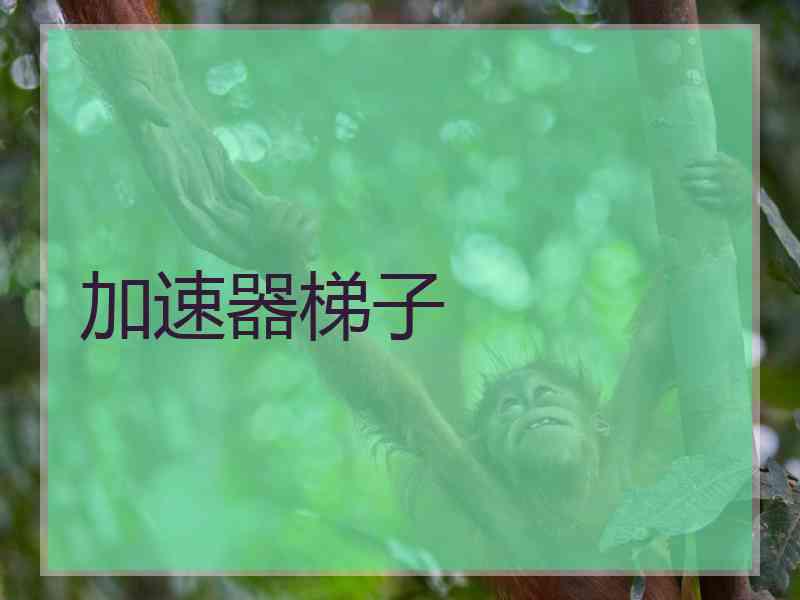 加速器梯子