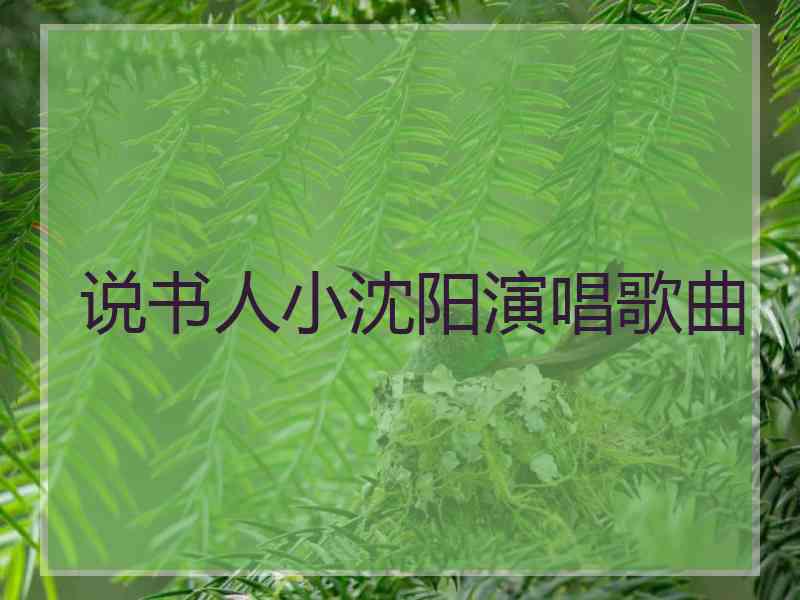 说书人小沈阳演唱歌曲
