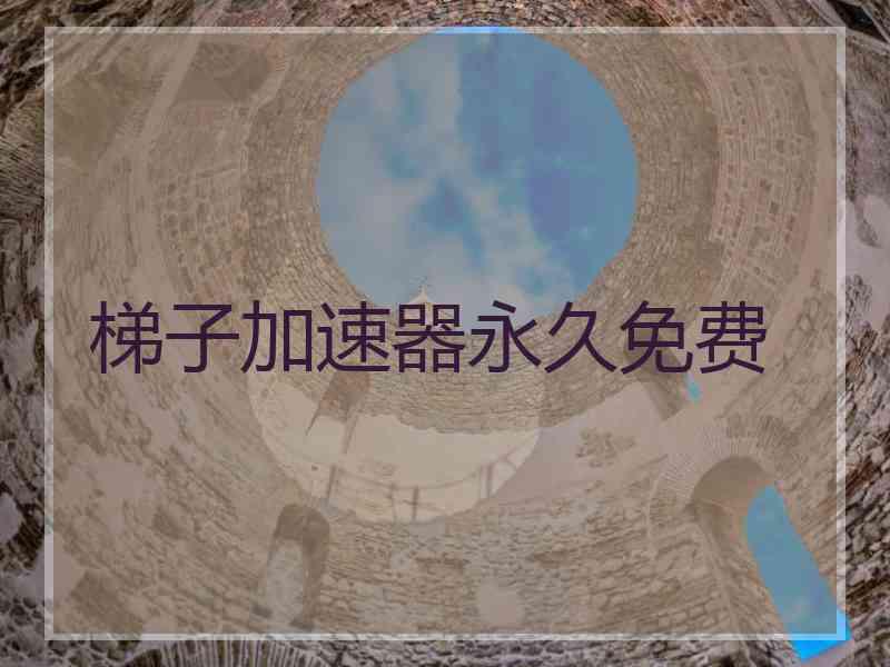 梯子加速器永久免费