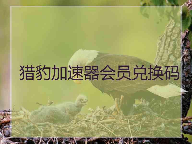 猎豹加速器会员兑换码
